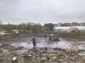 济宁河道鱼塘清淤